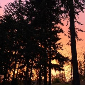 Meet your Posher, Camillia